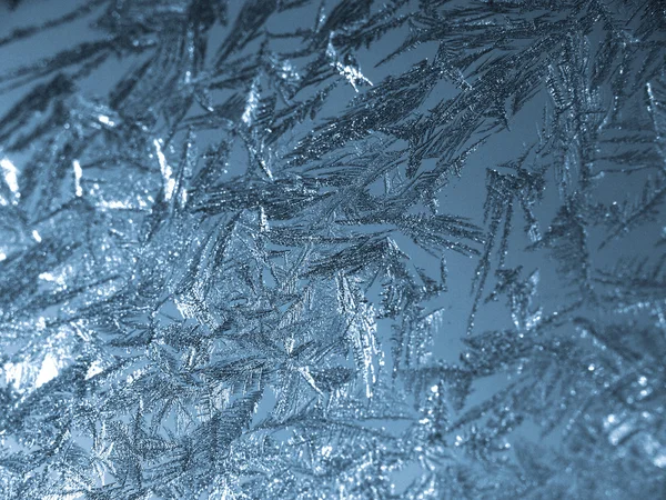 stock image Ice on the window