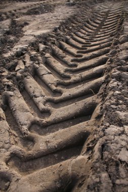 Car tracks on the ground clipart