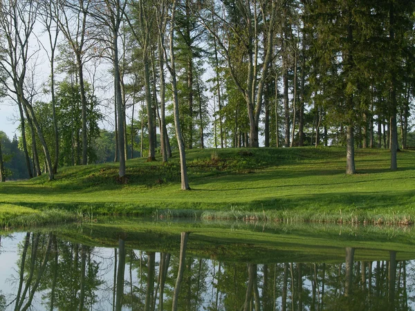 Parque verde refleja en estanque —  Fotos de Stock