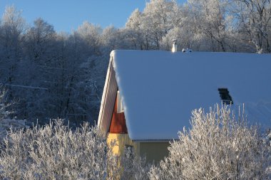 House on a frosty winter day clipart