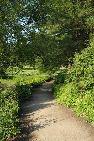 Walkway in the green park