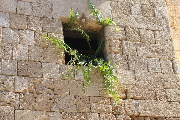 在中世纪的城市墙上的窗口 — 图库照片