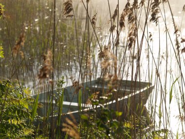 Boat on the lake in a misty morning clipart