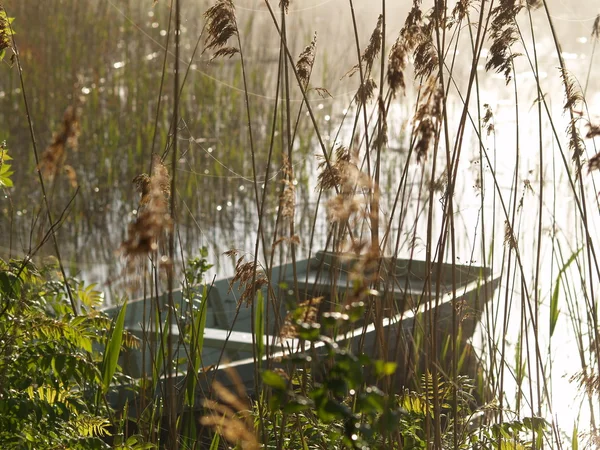 Βάρκα στην λίμνη ένα ομιχλώδες πρωί — Φωτογραφία Αρχείου