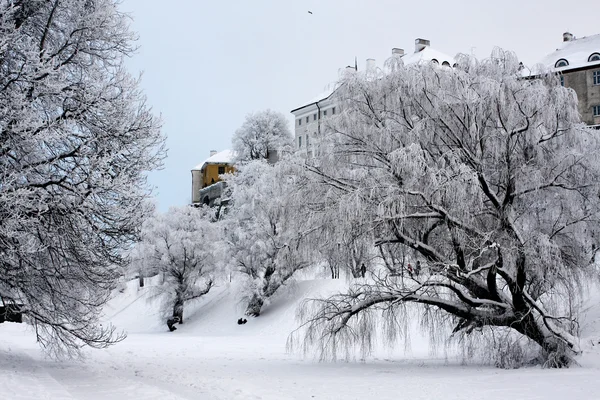 stock image Winter landscape