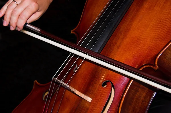 Feminine hands playing cello — Stock Photo, Image