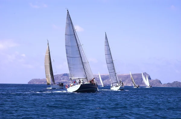 Navegar en buen viento — Foto de Stock