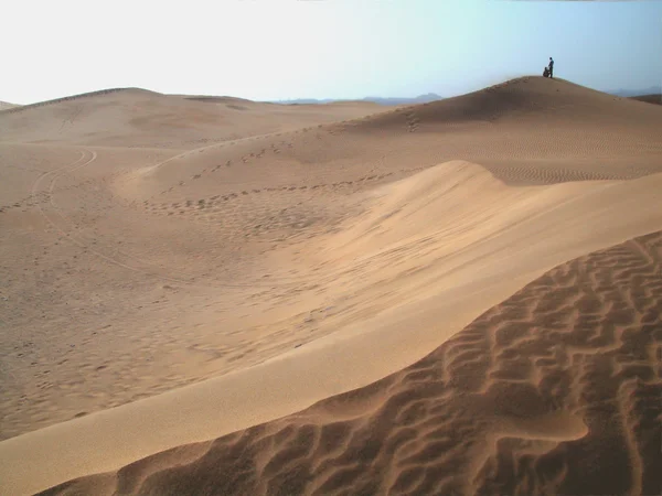 Dunes — Stok fotoğraf