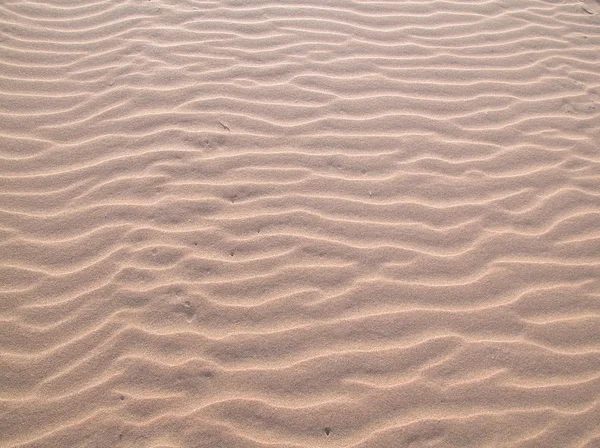 stock image Sand dunes