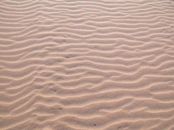 Dunas de areia Imagens Royalty-Free