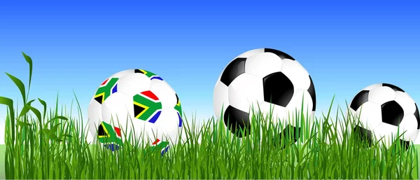 World Cup South Africa balls on the gras — Stock Vector