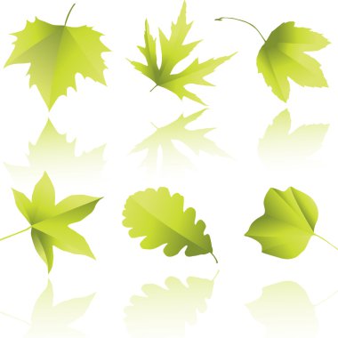 Silhouettes of leaves clipart