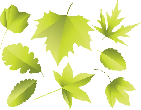 Silhouette di foglie — Vettoriale Stock