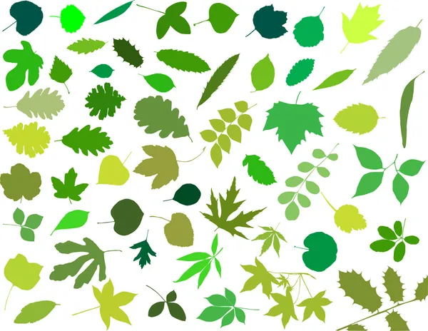 Силуети листя — стоковий вектор