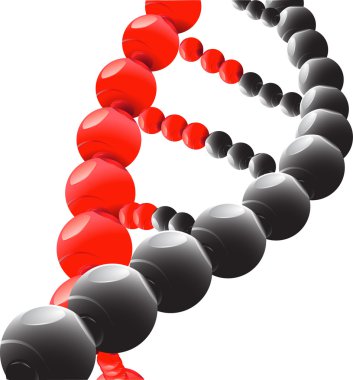 DNA