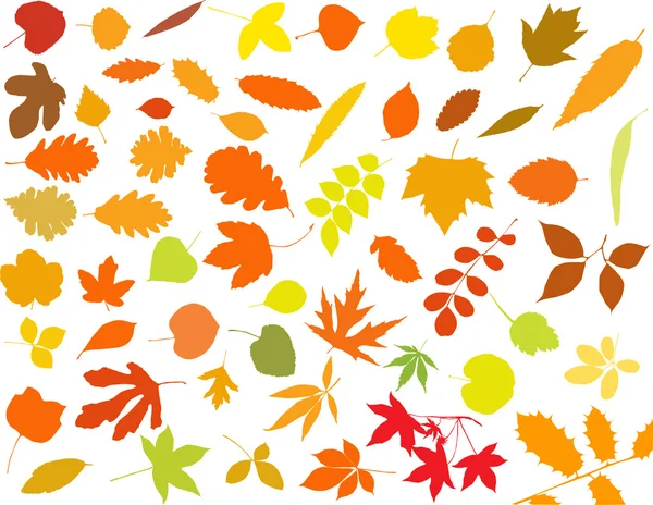 A levelek sziluettek — Stock Vector