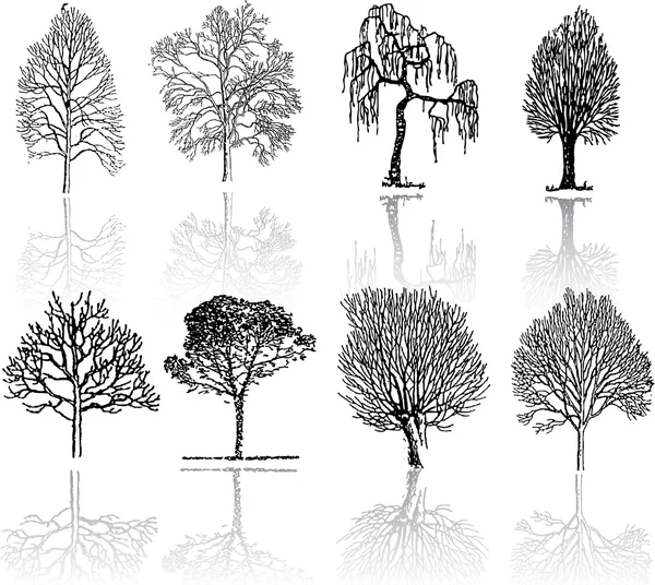 Siluety stromu — Stockový vektor