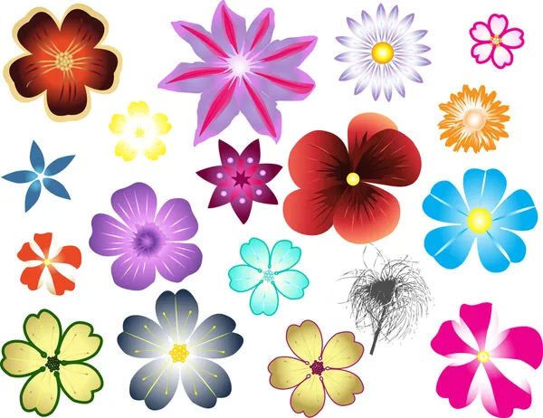 Diferentes tipos de flores —  Vetores de Stock