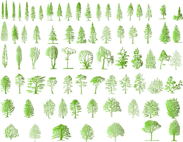 Σιλουέτες δέντρων — Διανυσματικό Αρχείο
