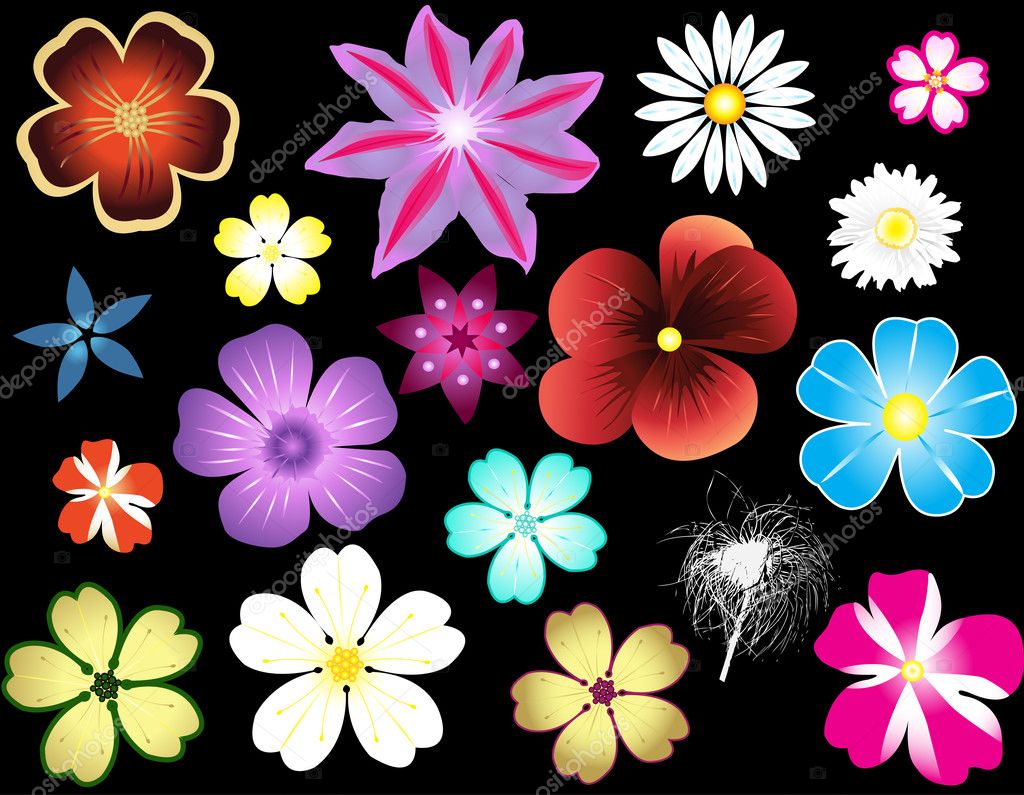 Different types of flowers Stock Vector by ©jelen80 1971570