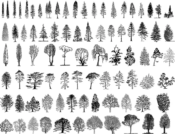 Siluetas de árbol — Archivo Imágenes Vectoriales