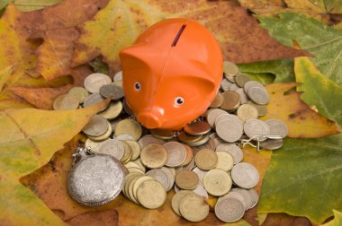 Piggy Bank clipart