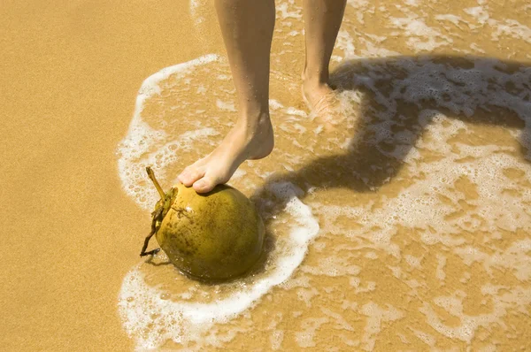 Kokosový ořech v písku — Stock fotografie