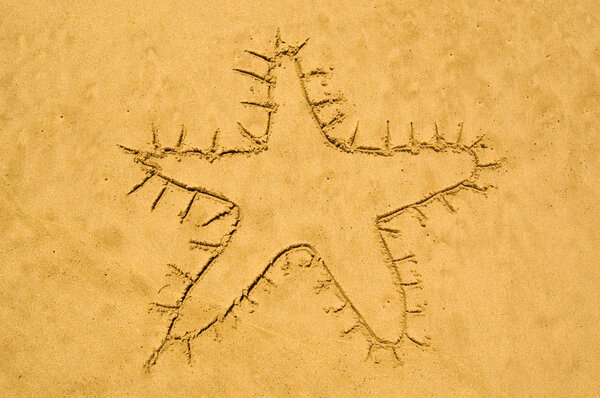 Sea star in the sand