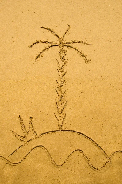 Kokosová palma v písku — Stock fotografie