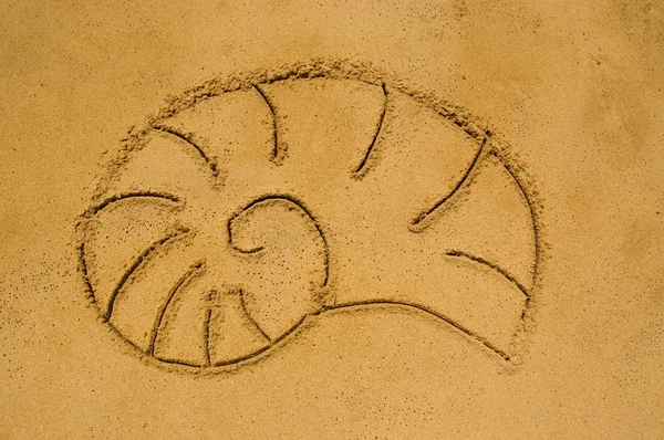 蜗牛在沙子里 — 图库照片