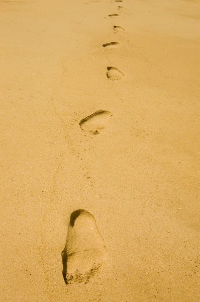 Footprint in the sand — Stock Photo, Image