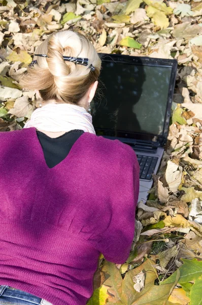Working on computer in the nature — Stock Photo, Image