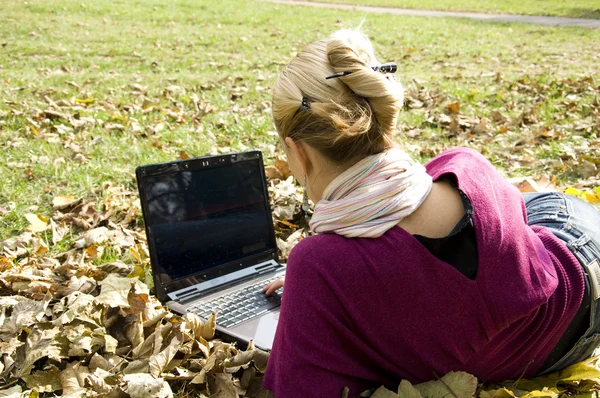 Working on computer in the nature