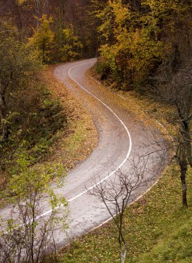 Curvet autumn road clipart