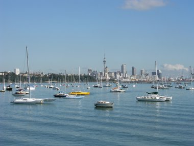 Auckland skyline clipart