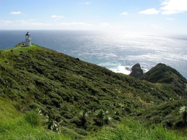 cape reinga deniz feneri