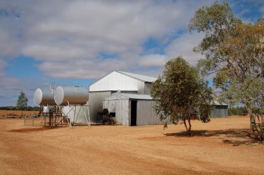 Outback cattle station clipart