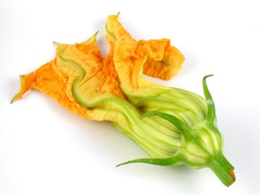 Squash blossom clipart