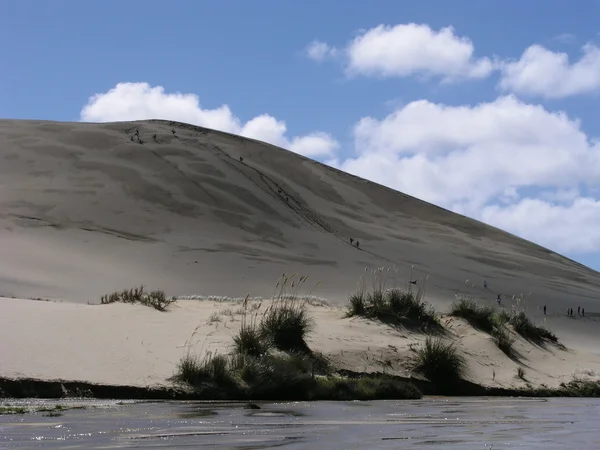 모래 언덕 썰매 — 스톡 사진