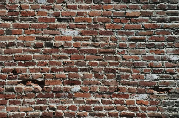 고민된 벽돌 벽 — 스톡 사진