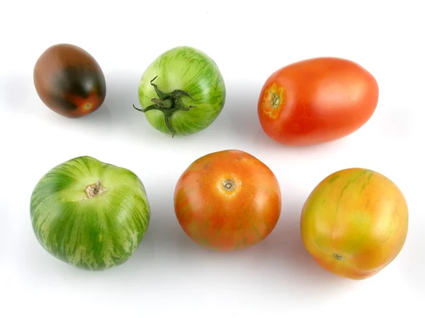 Erfstuk tomaten — Stockfoto