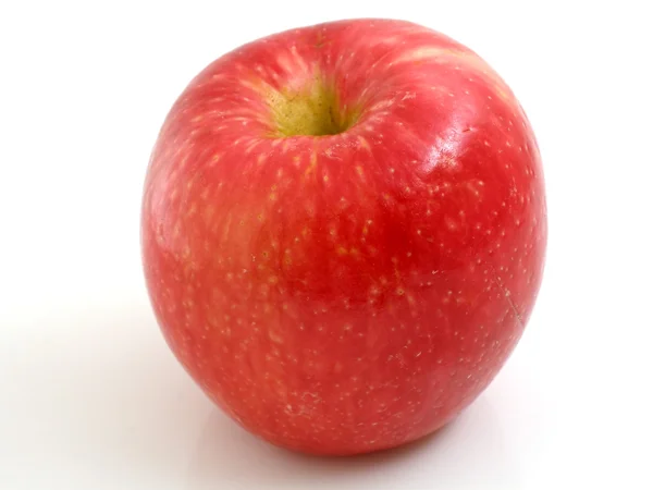 Stock image Honeycrisp apple