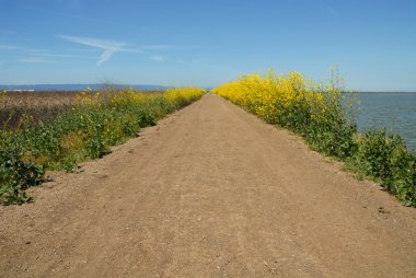 Walking path clipart