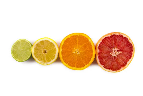 Citrus fruits in a row — Stock Photo, Image