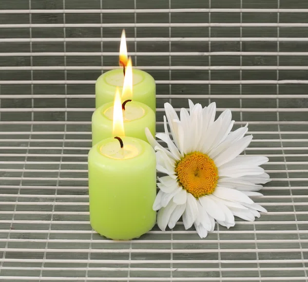 Kaarsen en bloem — Stockfoto
