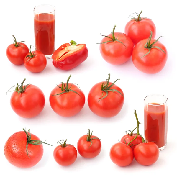 番茄集合 — 图库照片