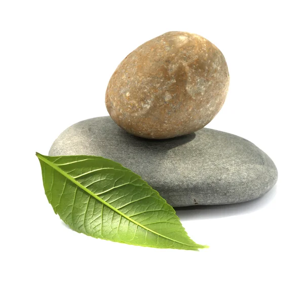 Kamienie i liść — Zdjęcie stockowe