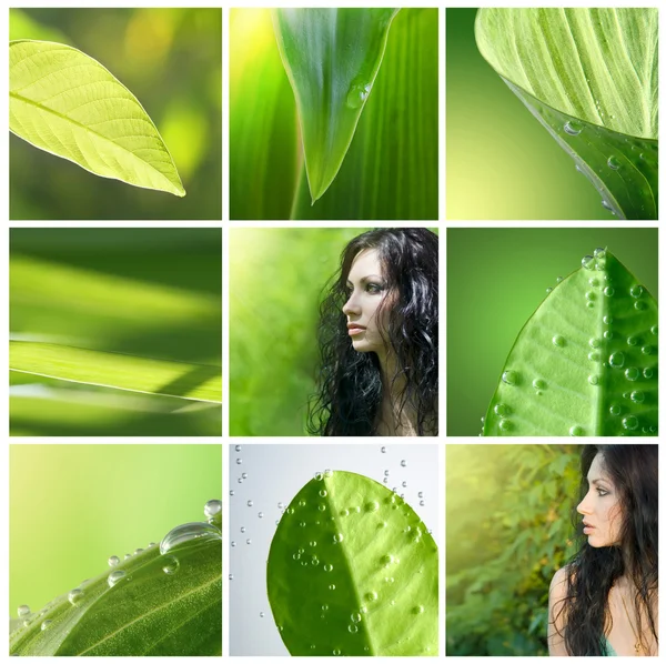 Green collection — Stock Photo, Image