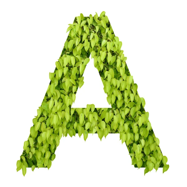 Green alphabet. letter "a" — Stock Photo, Image