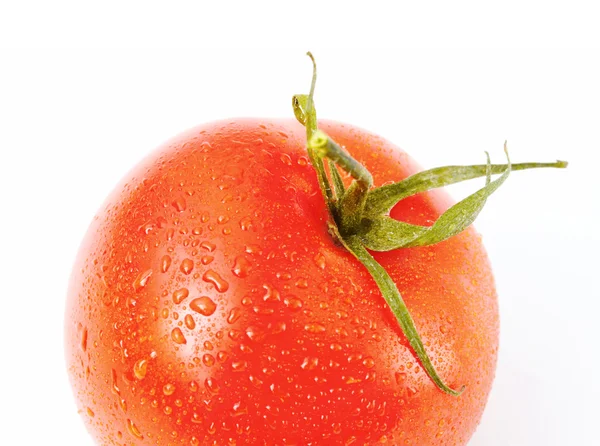 番茄用水滴 — 图库照片